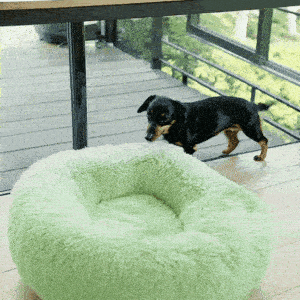 Enjoying nap time
