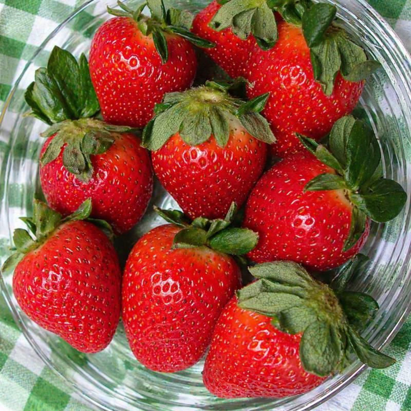 Image of Honeoye Strawberry 25 Pack