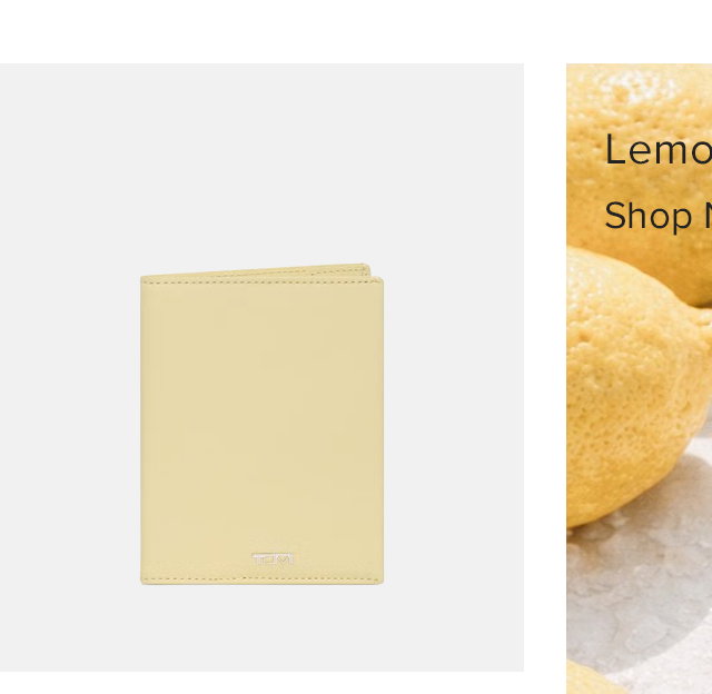 passport-case-yellow