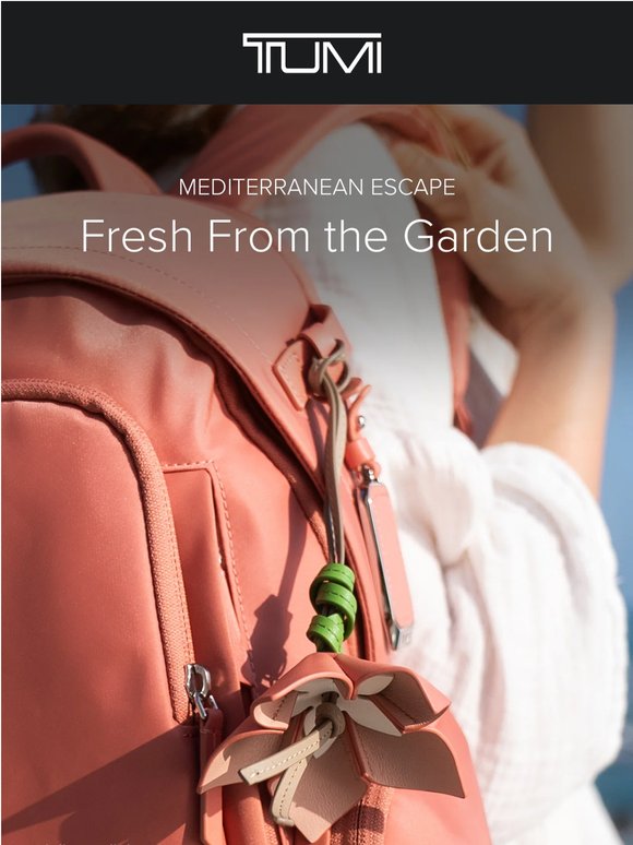 New Accessories & Colors for Summer
