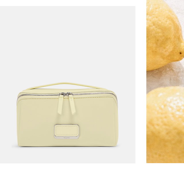 dallas-cosmetic-case
