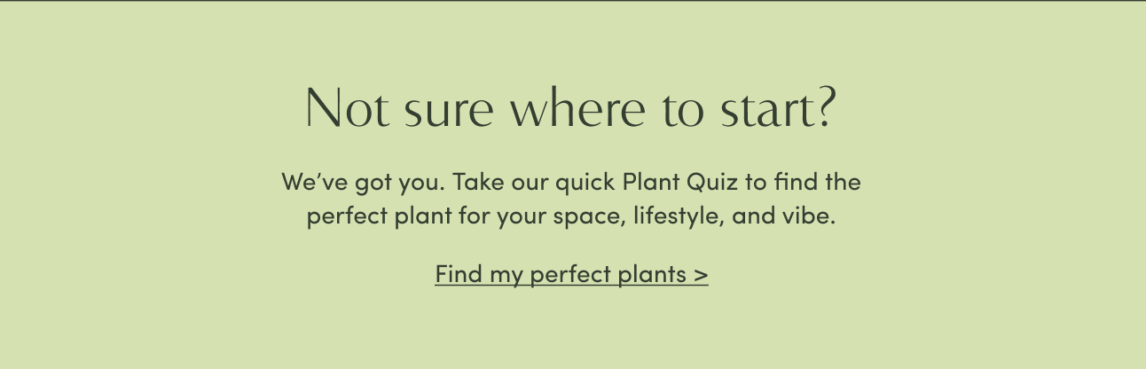 Find my perfect plants