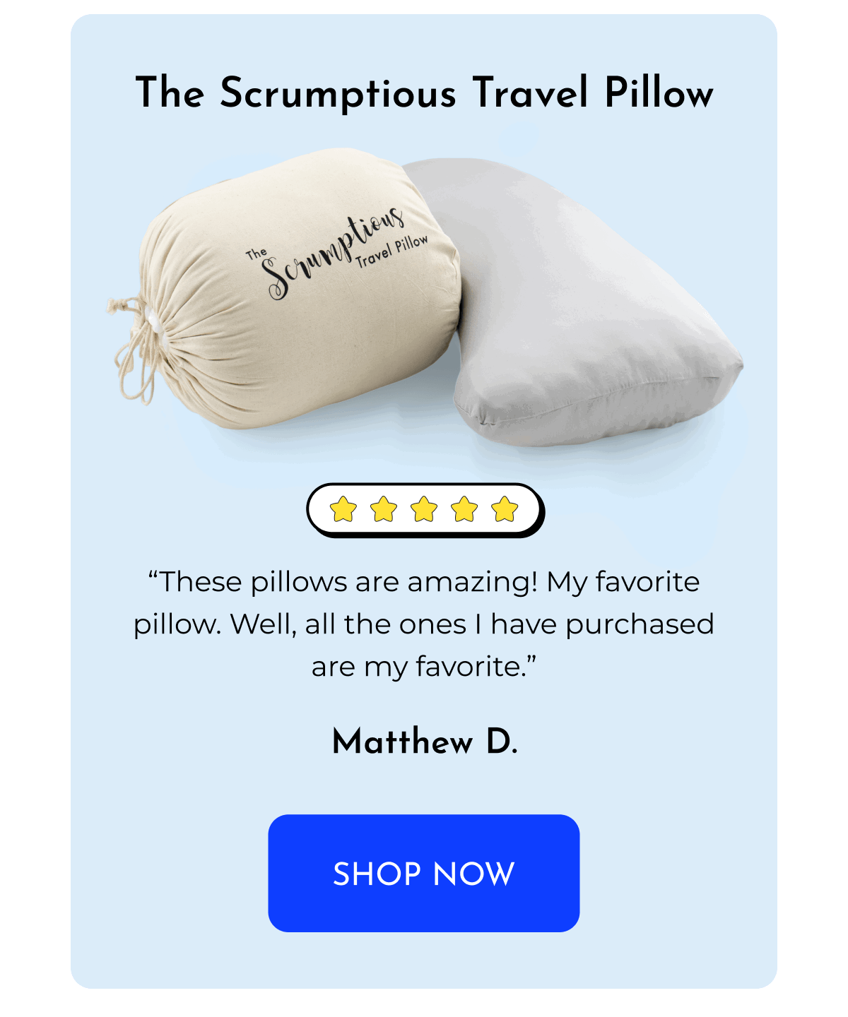 Scrumptious Travel Pillow