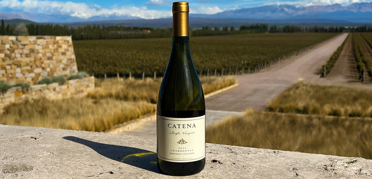 Domingo Vineyard
