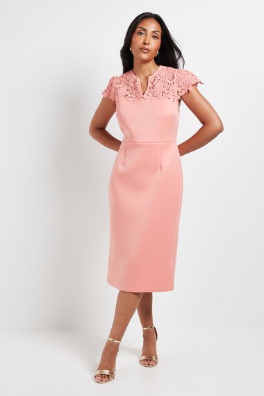 Petite Scuba Lace Sleeve Pencil Dress