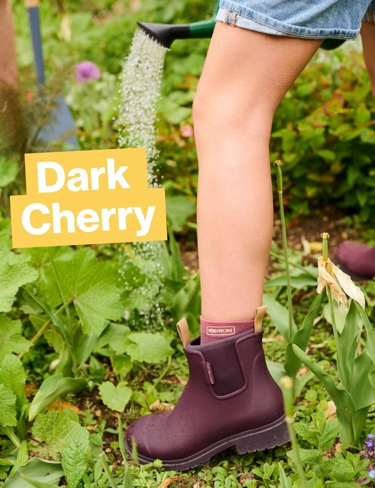 Dark Cherry Bobbi Gumboots in the garden 