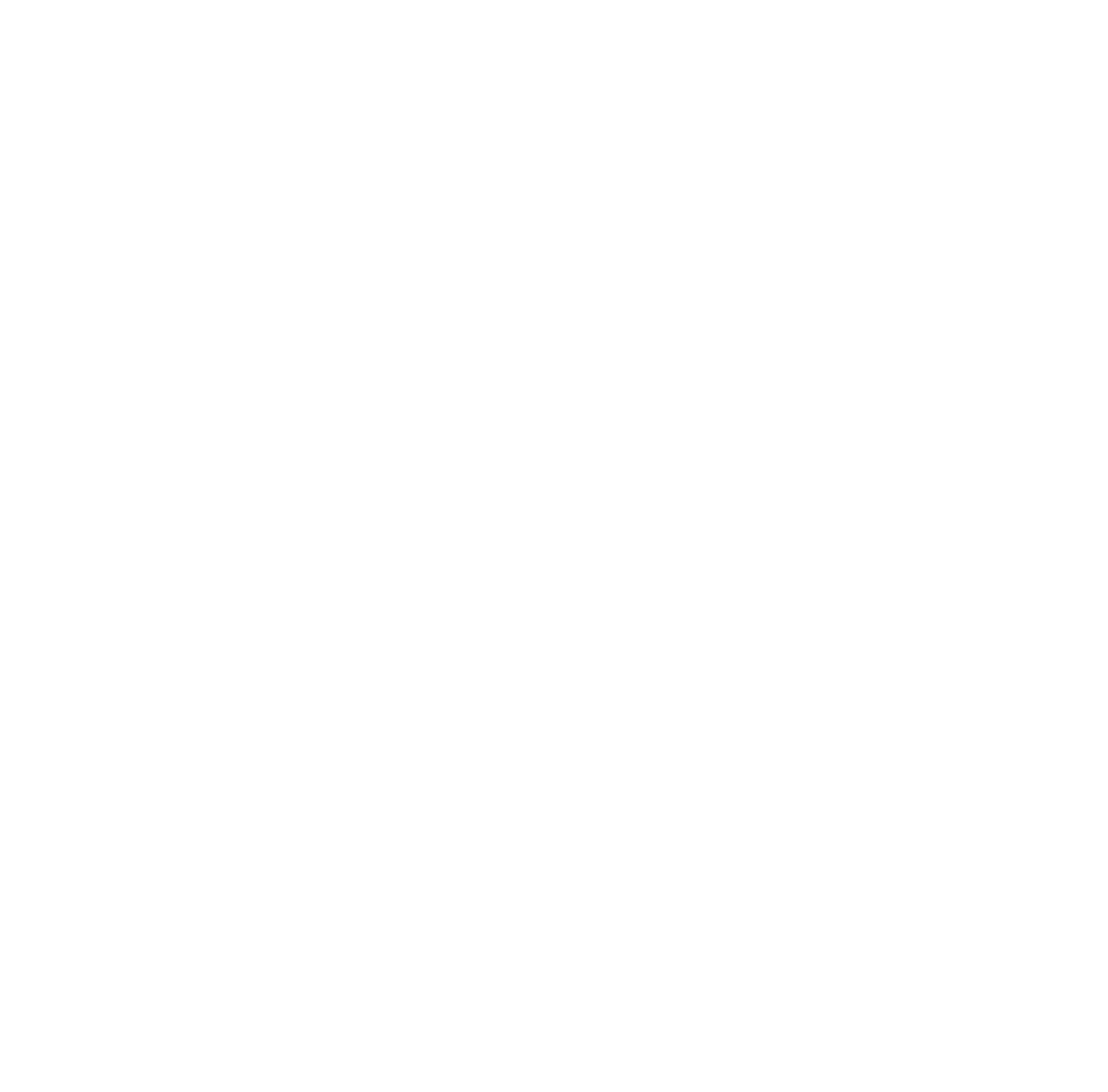 Veloforte Logo
