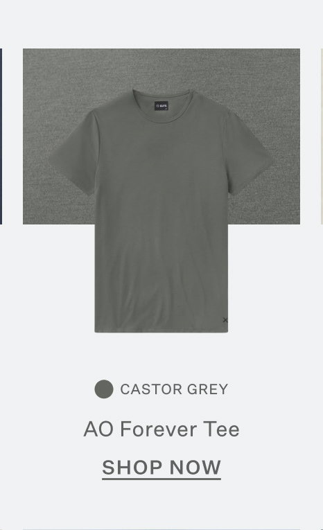 AO Forever Tee