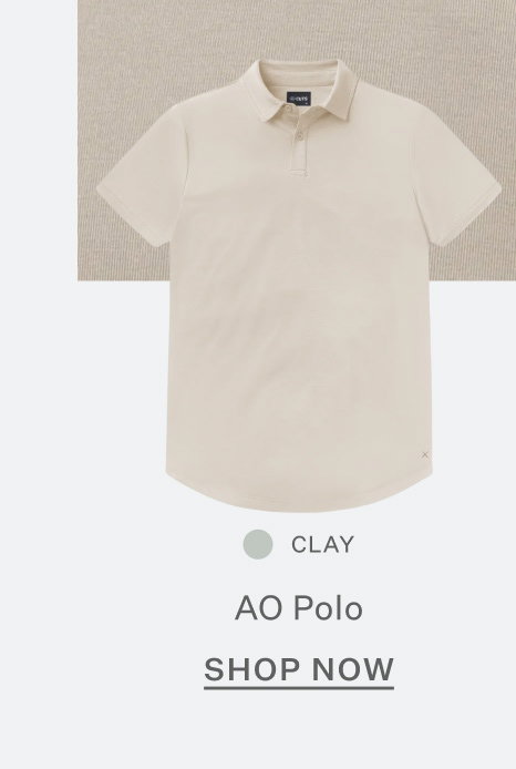 AO Polo