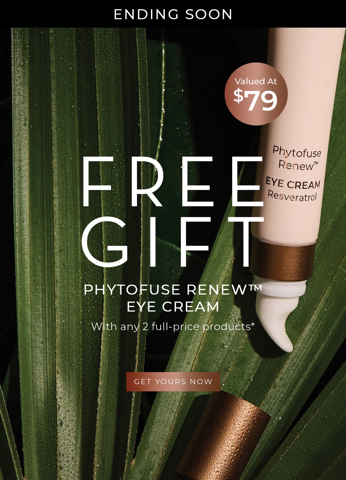 Free Gift - Phytofuse Renew Eye Cream | INIKA Organic