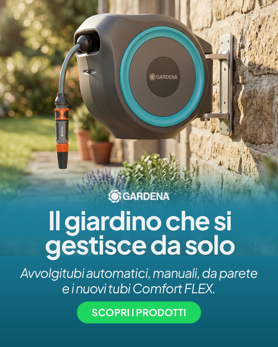 immagine HERO