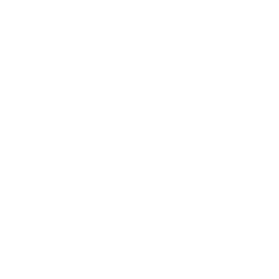 Zinus