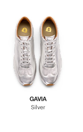Gavia, Silver