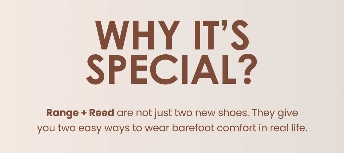 Why It’s Special?