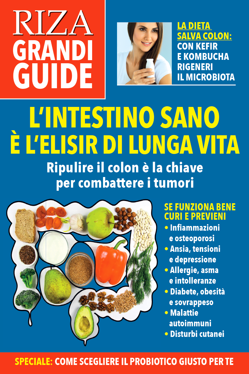 Libro 11