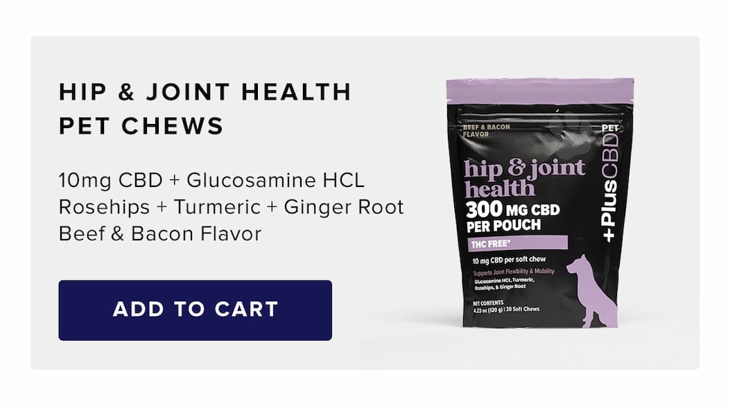 50mg CBD Softgels