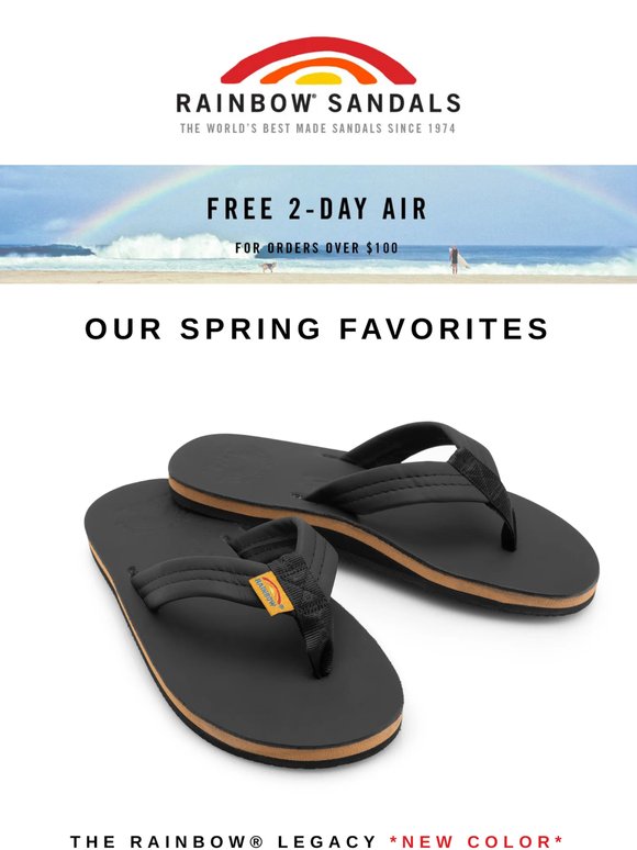 Spring Favorites 🌴