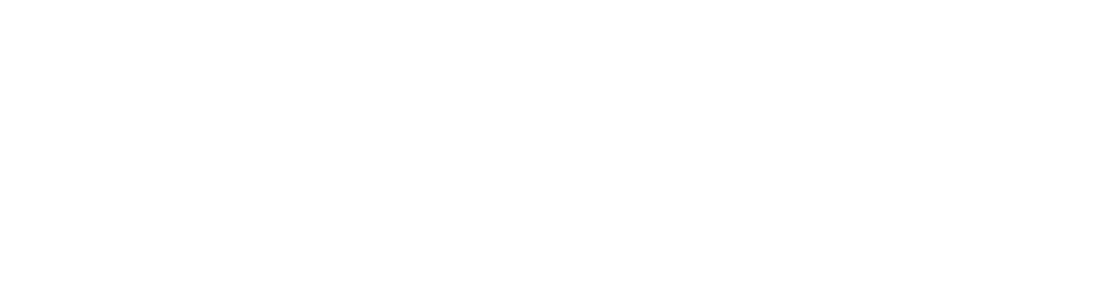 Shop Pay