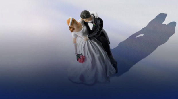 The bride and groom from the top of a wedding cake, with a dark shadow behind them.