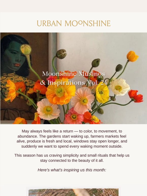 Moonshine Musings 🌿 Vol 24
