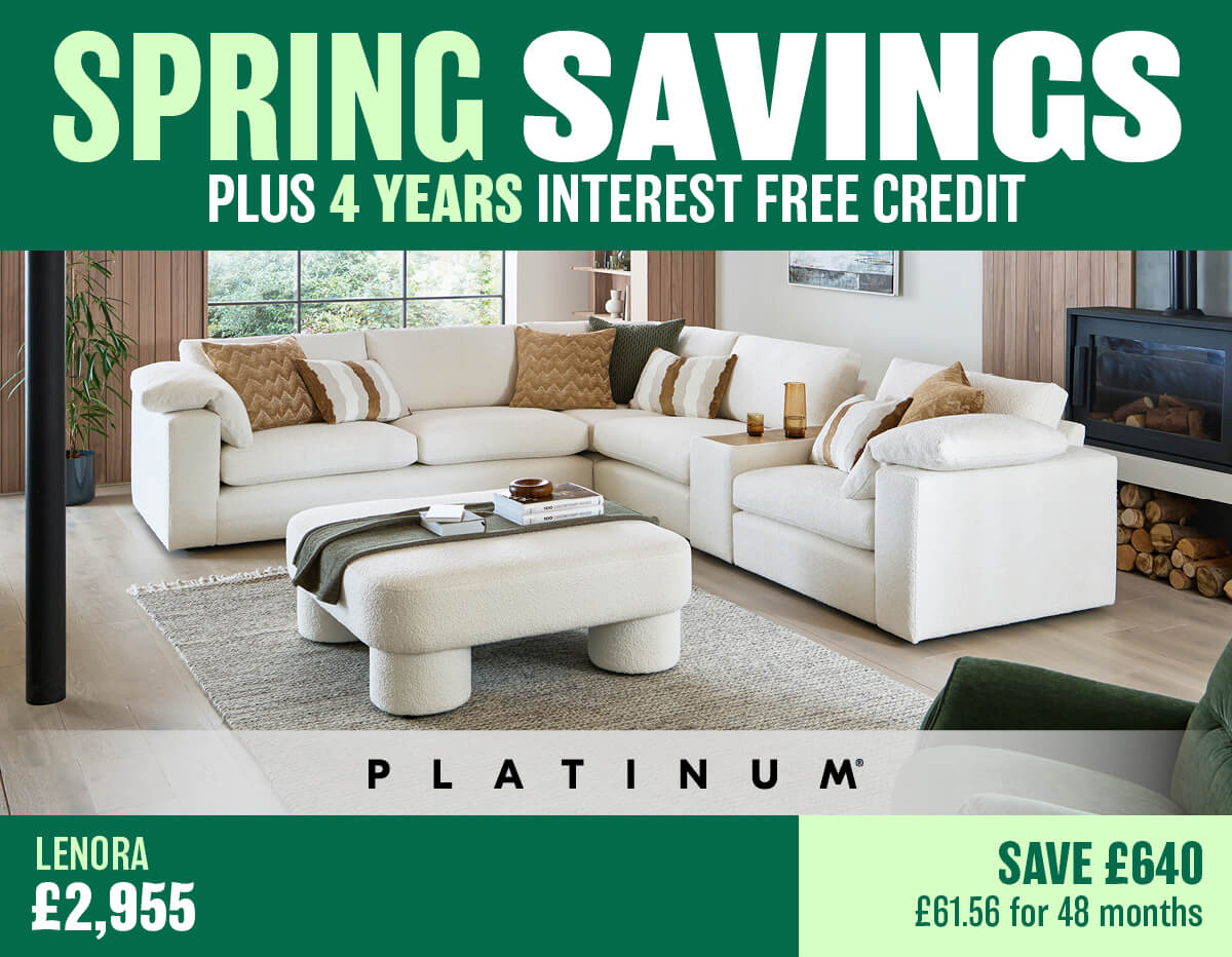 Spring Savings Plus 4 Years Interest Free Credit