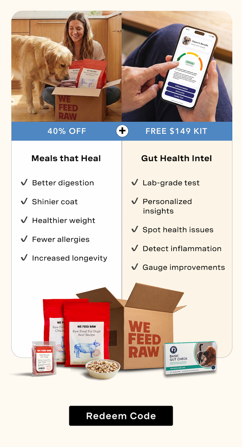 40% Off Meals that Heal + FREE $149 Gut Health kit