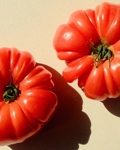 Tomatoes