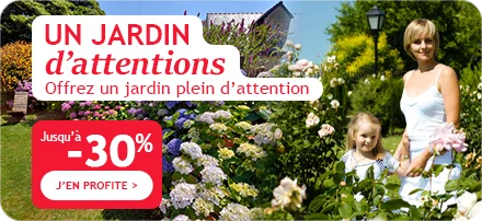Objectif jardin vertical : jusqu'à -30%
