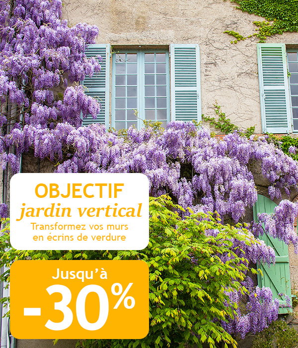 Objectif jardin vertical jusqu'à -30%