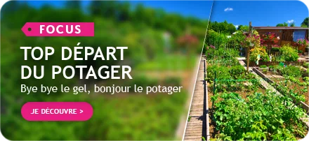 Focus Top départ du potager