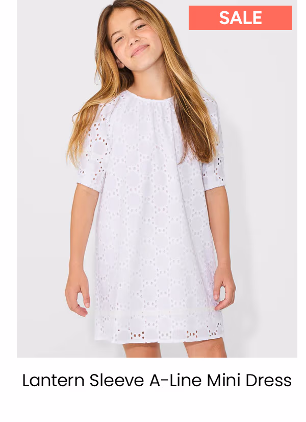 Lantern Sleeve A-Line Mini Dress