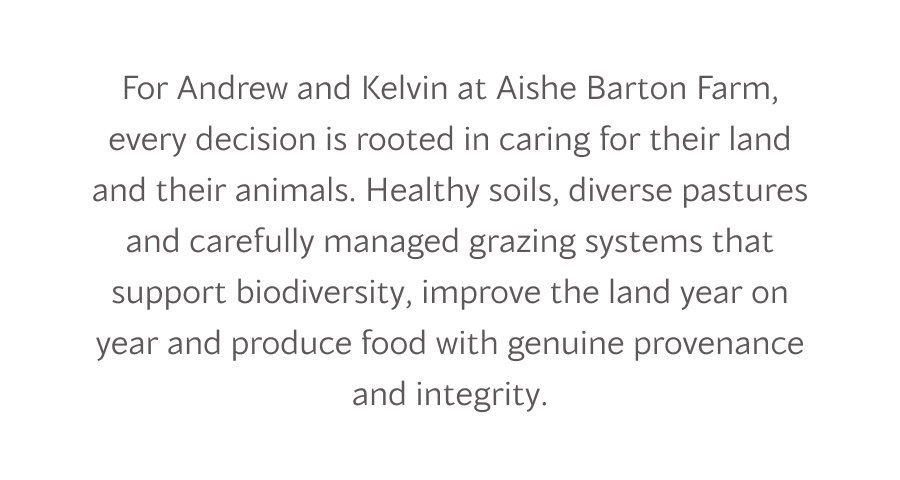 For Andrew and Kelvin at Aishe Barton Farm, every decision is rooted in caring for their land and their animals. Healthy soils, diverse pastures and carefully managed grazing systems that support biodiversity, improve the land year on year and produce food with genuine provenance and integrity.