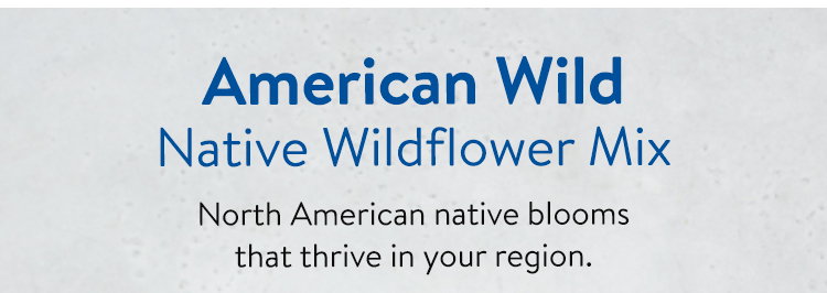 American Wild Native Wildflower Mix