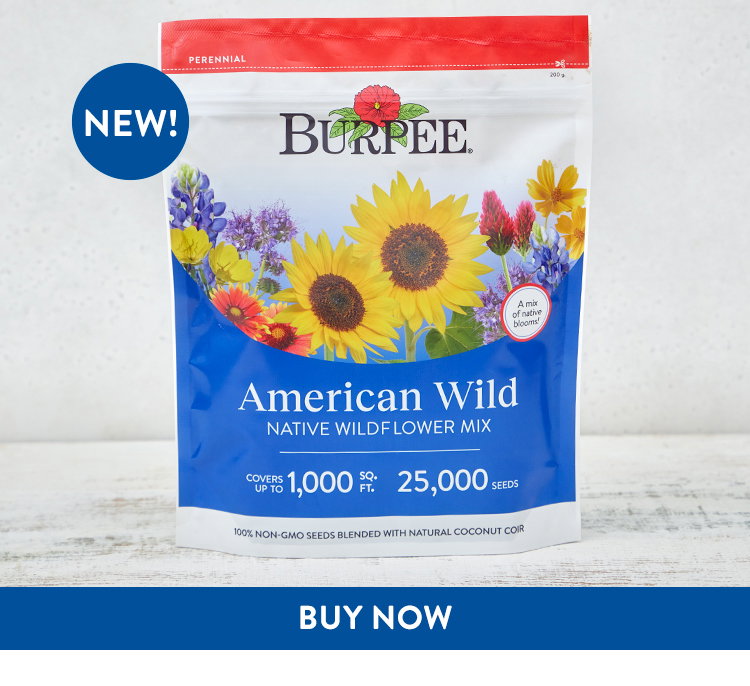 American Wild Native Wildflower Mix