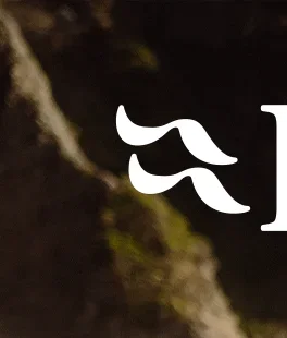 Rab