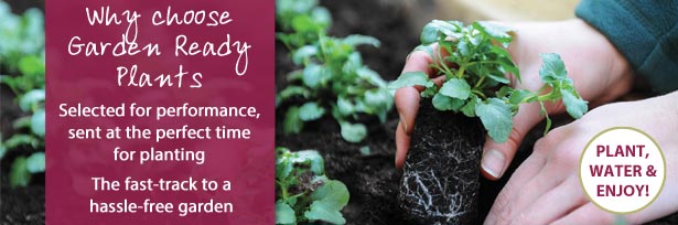 Why choose Garden Ready