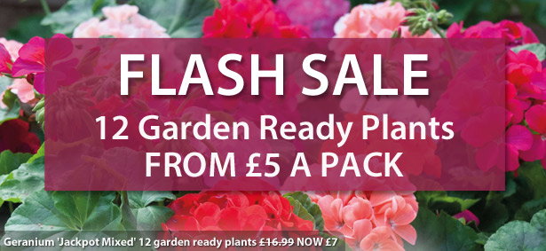 Garden Ready Mix & Match