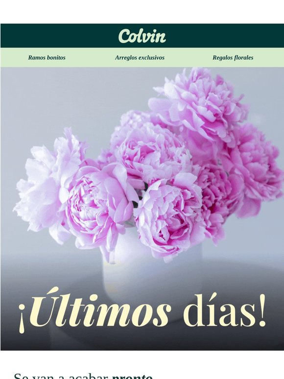 Peonías 🌸 ¡Últimos días!