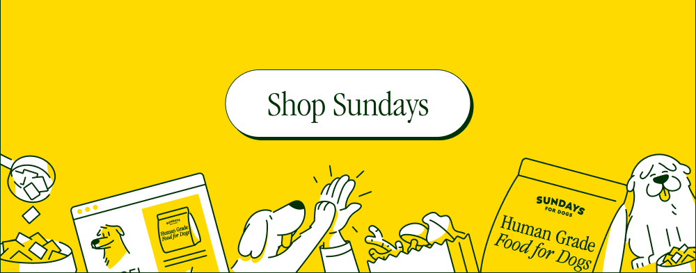 [Shop Sundays]