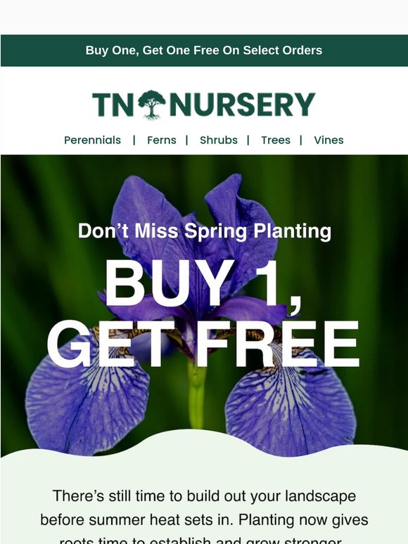 Buy 1, Get 1 Free on Select Plants! 🌼