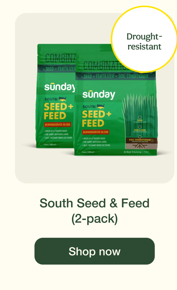South Seed & Feed (2-pack) | Shop now