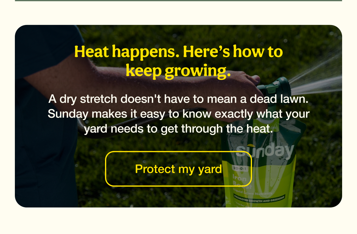 Heat happens. Here’s how to keep growing. | Protect my yard