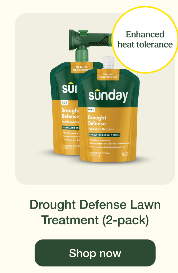 Drought Defense Lawn Treatment (2-pack) | Shop now
