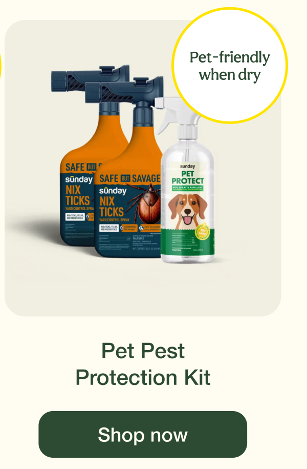 Pet Pest Protection Kit | Shop now