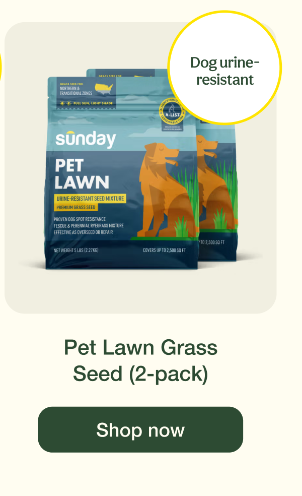 Pet Lawn Grass Seed (2-pack) | Shop now