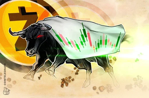 zcash bull - rehash