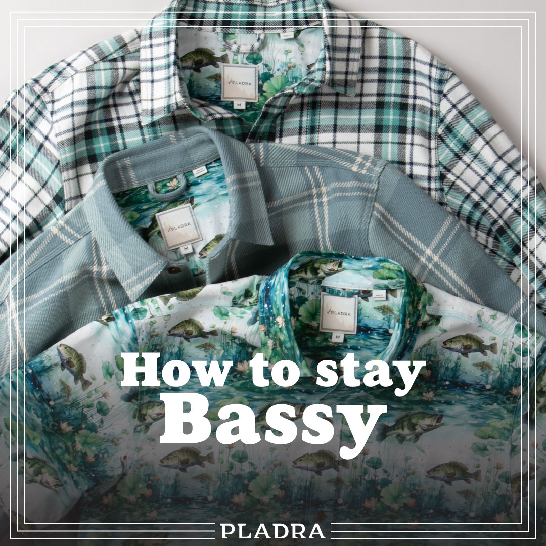 how to stay bassy