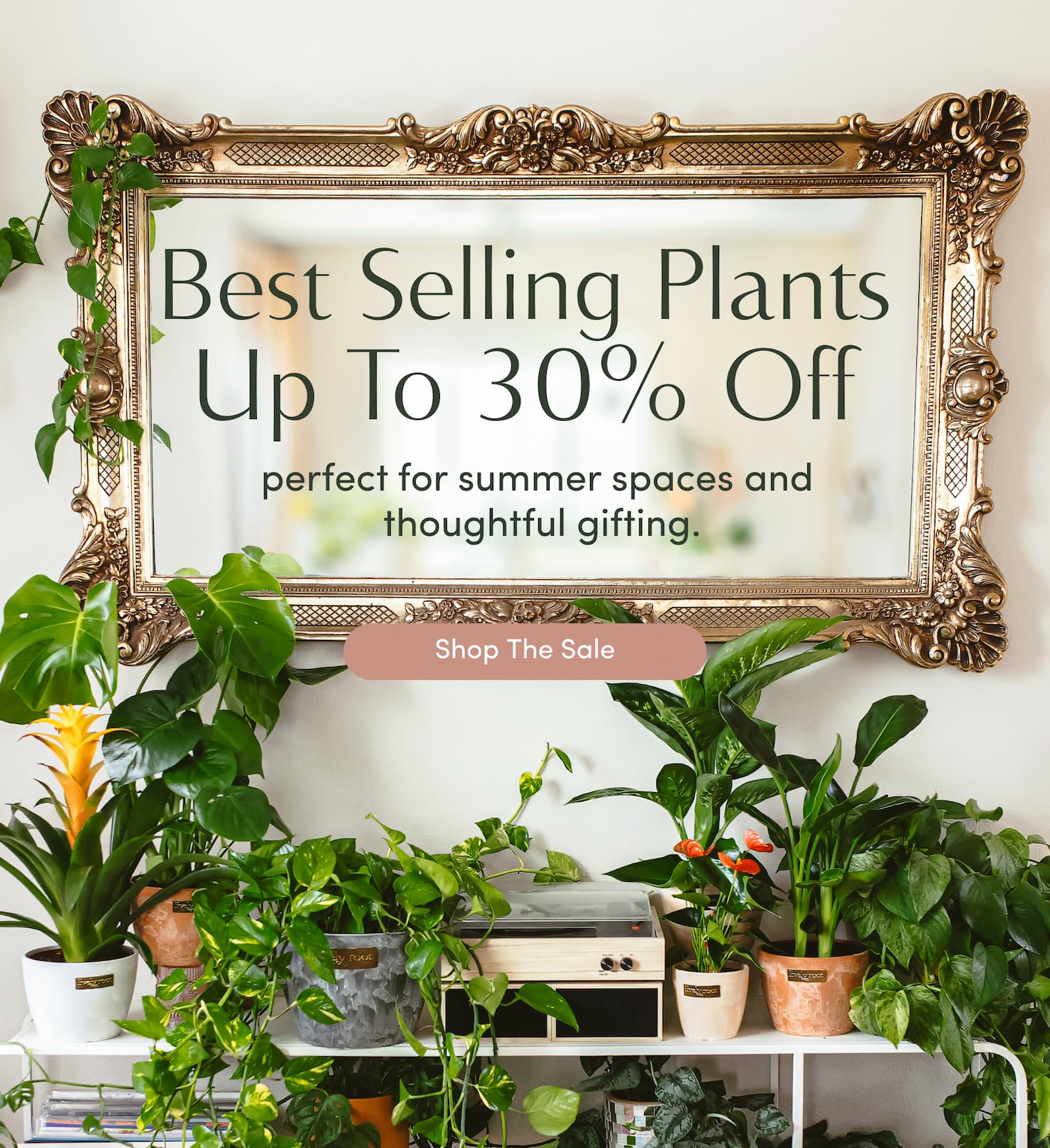 shop the sale