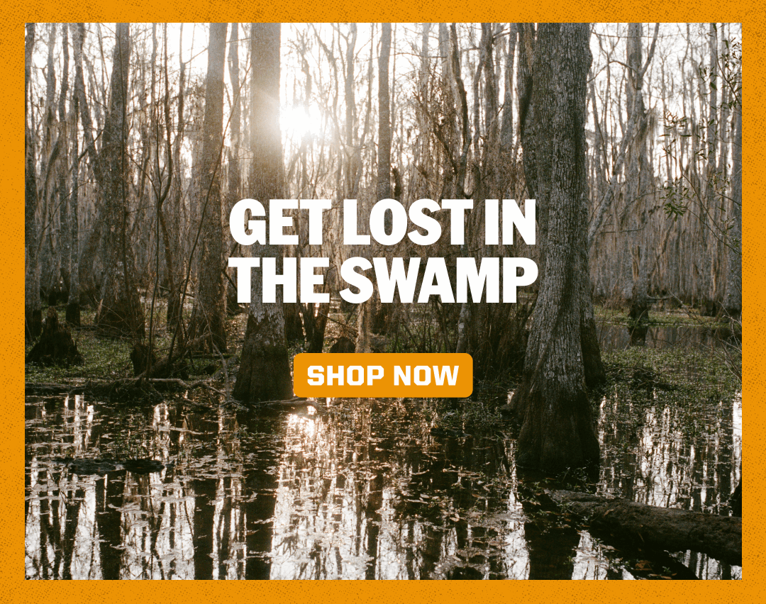 Get Lost in the Swamp