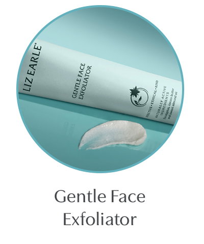 Gentle Face  Exfoliator 